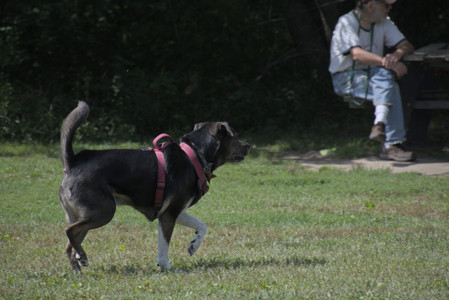20250824_Dog park and Imby__DSC0062_.jpg