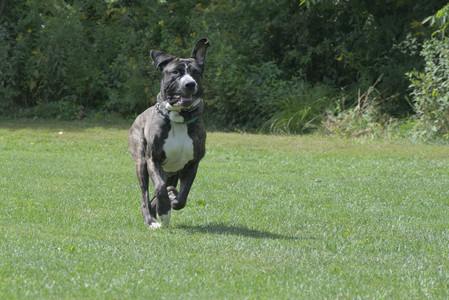 20250824_Dog park and Imby__DSC0064_.jpg