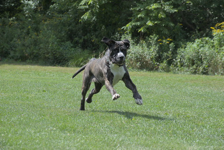 20250824_Dog park and Imby__DSC0065_.jpg