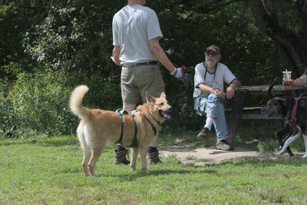20250824_Dog park and Imby__DSC0074_.jpg