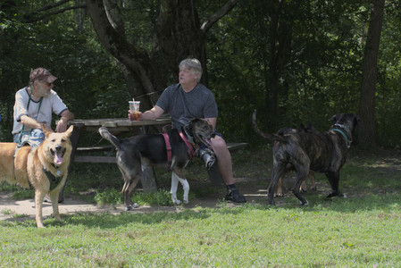 20250824_Dog park and Imby__DSC0077_.jpg