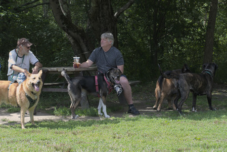 20250824_Dog park and Imby__DSC0078_.jpg