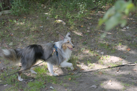 20250824_Dog park and Imby__DSC0083_.jpg
