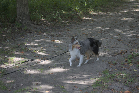 20250824_Dog park and Imby__DSC0088_.jpg