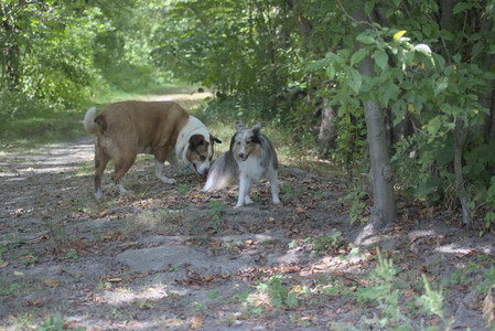 20250824_Dog park and Imby__DSC0095_.jpg