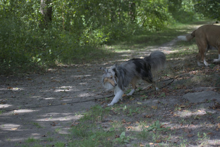 20250824_Dog park and Imby__DSC0097_.jpg