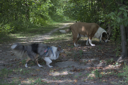 20250824_Dog park and Imby__DSC0098_.jpg