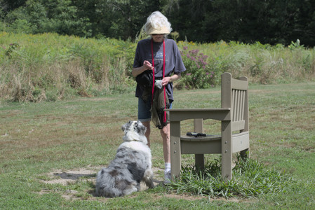 20250824_Dog park and Imby__DSC0100_.jpg