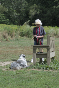 20250824_Dog park and Imby__DSC0102_.jpg