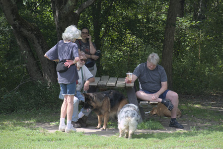 20250824_Dog park and Imby__DSC0106_.jpg