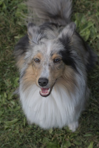 20250824_Dog park and Imby__DSC0109_.jpg