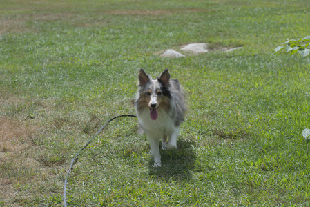 20250824_Dog park and Imby__DSC0113_.jpg