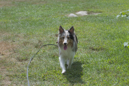 20250824_Dog park and Imby__DSC0114_.jpg