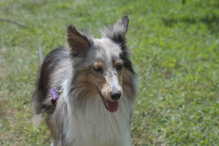 20250824_Dog park and Imby__DSC0116_.jpg