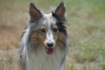 20250824_Dog park and Imby__DSC0119_.jpg