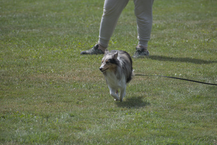 20250824_Dog park and Imby__DSC0122_.jpg