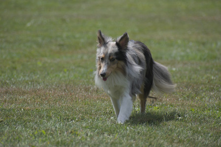 20250824_Dog park and Imby__DSC0124_.jpg