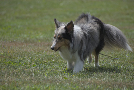 20250824_Dog park and Imby__DSC0125_.jpg