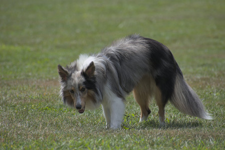 20250824_Dog park and Imby__DSC0126_.jpg