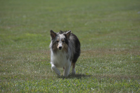20250824_Dog park and Imby__DSC0128_.jpg