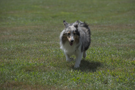 20250824_Dog park and Imby__DSC0131_.jpg