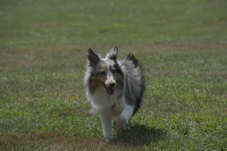 20250824_Dog park and Imby__DSC0132_.jpg