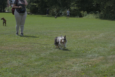 20250824_Dog park and Imby__DSC0134_.jpg