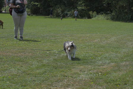 20250824_Dog park and Imby__DSC0135_.jpg