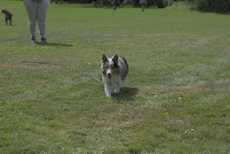 20250824_Dog park and Imby__DSC0136_.jpg