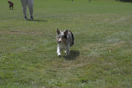 20250824_Dog park and Imby__DSC0137_.jpg