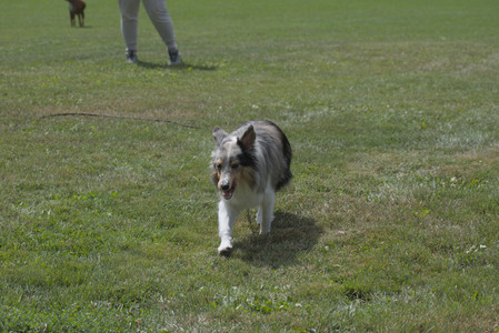 20250824_Dog park and Imby__DSC0138_.jpg
