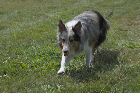 20250824_Dog park and Imby__DSC0139_.jpg