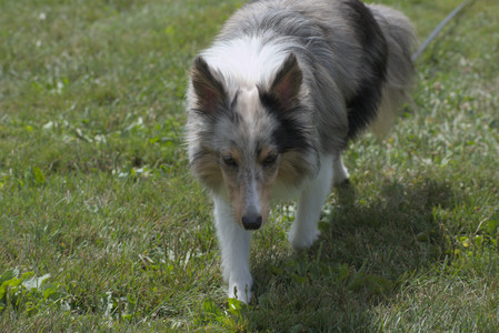 20250824_Dog park and Imby__DSC0140_.jpg