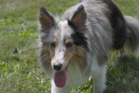 20250824_Dog park and Imby__DSC0141_.jpg