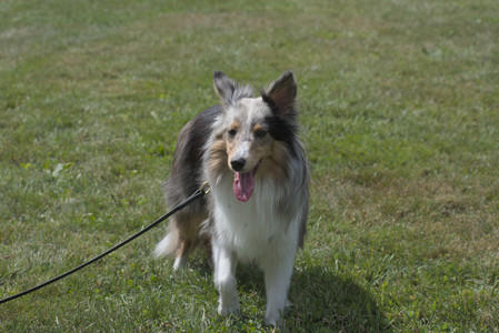 20250824_Dog park and Imby__DSC0143_.jpg