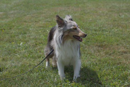 20250824_Dog park and Imby__DSC0144_.jpg