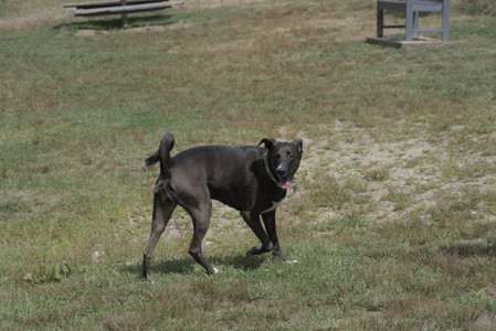 20250824_Dog park and Imby__DSC0147_.jpg