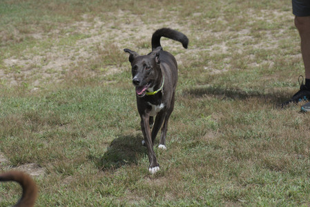 20250824_Dog park and Imby__DSC0149_.jpg