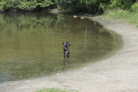 20250824_Dog park and Imby__DSC0153_.jpg