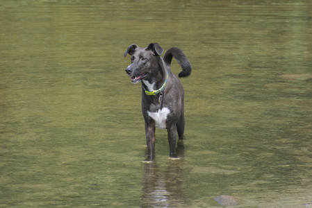 20250824_Dog park and Imby__DSC0154_.jpg