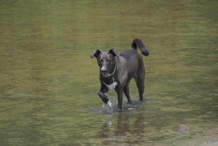 20250824_Dog park and Imby__DSC0156_.jpg