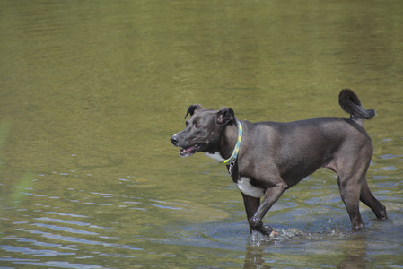 20250824_Dog park and Imby__DSC0157_.jpg