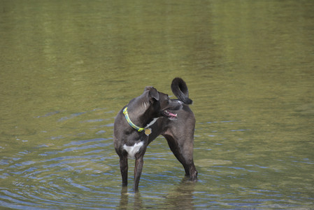 20250824_Dog park and Imby__DSC0158_.jpg