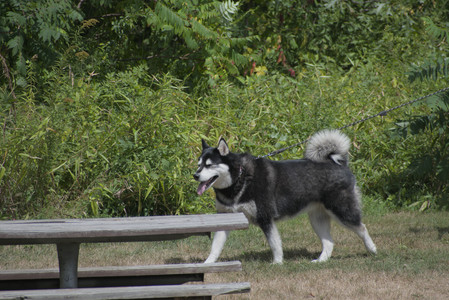 20250824_Dog park and Imby__DSC0159_.jpg