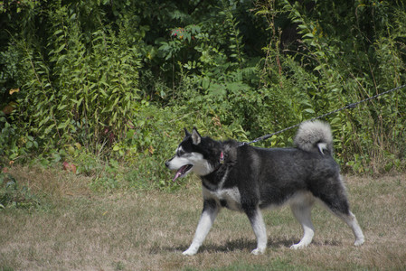 20250824_Dog park and Imby__DSC0160_.jpg