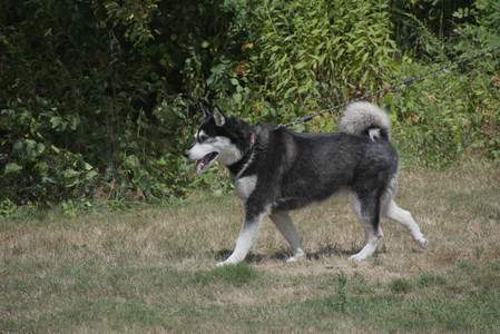 20250824_Dog park and Imby__DSC0161_.jpg