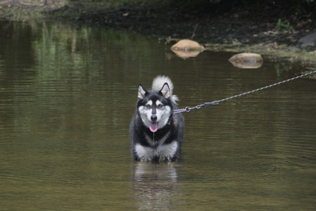 20250824_Dog park and Imby__DSC0169_.jpg