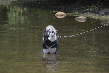 20250824_Dog park and Imby__DSC0170_.jpg