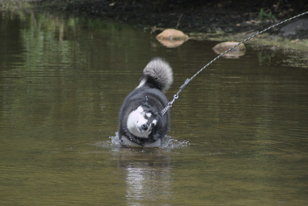 20250824_Dog park and Imby__DSC0171_.jpg