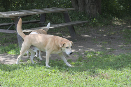 20250824_Dog park and Imby__DSC0174_.jpg